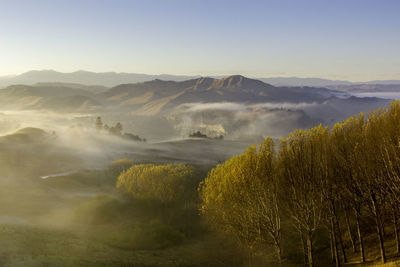 Scenic view of landscape against clear sky