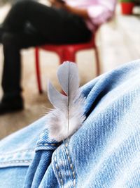 Close-up of person jeans with feather