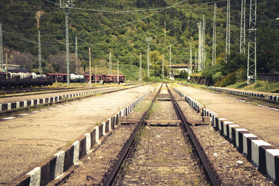 Railroad track amidst trees