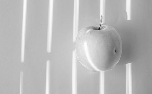 Close-up of fruits hanging on wall