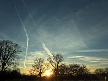 Silhouette of trees at sunset