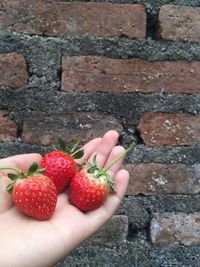Close-up of fresh strawberries