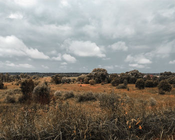 Scenic view of land against sky
