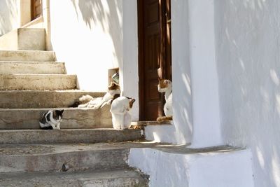 Rear view of two women walking on staircase against building