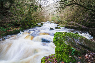 Scenic view of waterfall in forest against sky