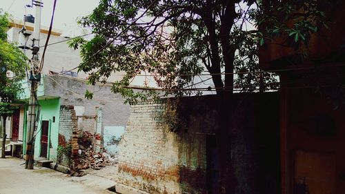 Trees in front of building