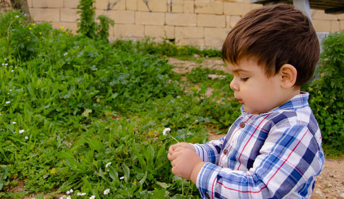 Cute boy holding flower at yard