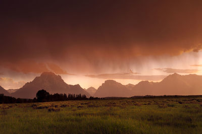 Scenic view of grassy field against cloudy sky during sunset