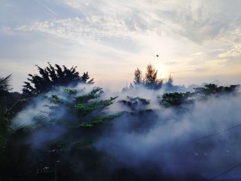 Low angle view of silhouette trees against sky during sunset