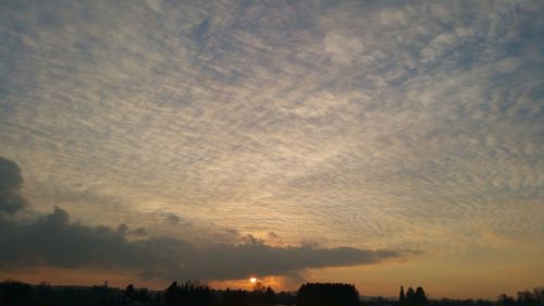 Silhouette trees against sky during sunset