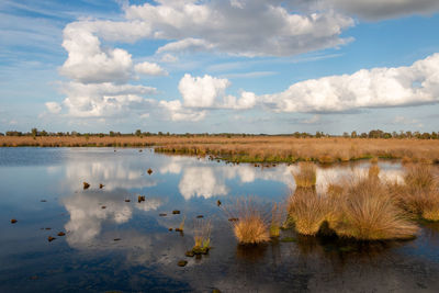 Scenic view of lake against sky