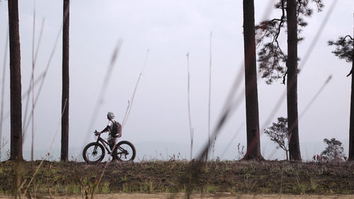 Man riding bicycle by plants against sky