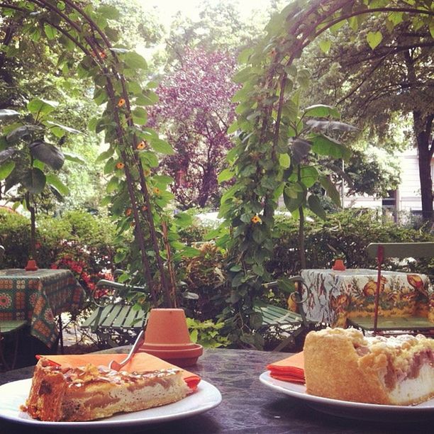 freshness, food and drink, tree, table, growth, food, potted plant, plant, leaf, healthy eating, green color, day, nature, plate, no people, close-up, sunlight, indoors, ready-to-eat