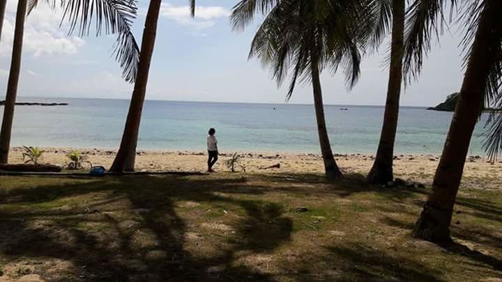 SCENIC VIEW OF PALM TREE BY SEA