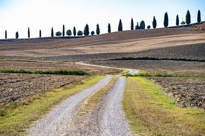 Scenic view of agricultural field against clear sky