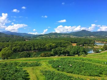 Scenic view of field against sky