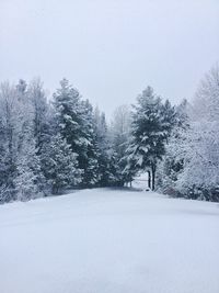 Trees on snow covered landscape against clear sky