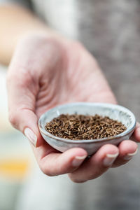 Close-up of hand holding cumin seeds