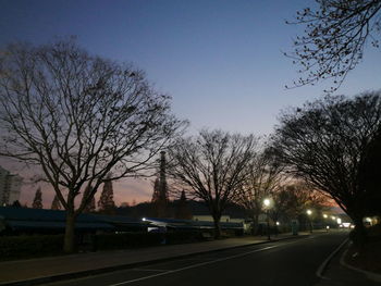 Bare trees against clear sky at sunset