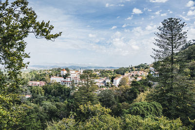 Aerial view of sintra national palace in portugal. landscape with trees and buildings