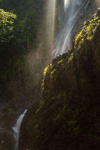 Scenic view of waterfall in forest