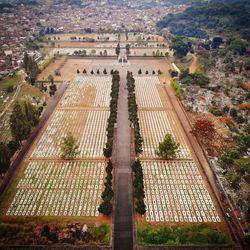 High angle view of grave yard