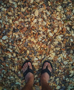 Low section of person standing on ground