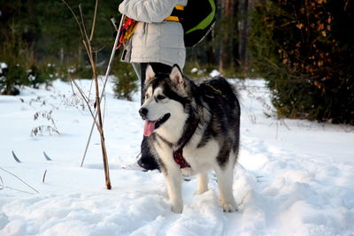 Woman with dog in snow