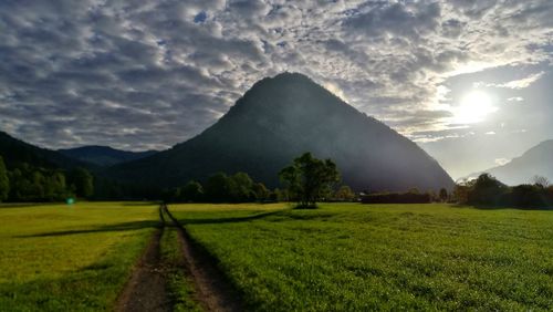 Scenic view of field against sky