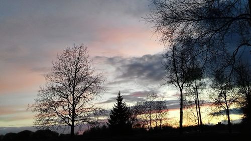 Silhouette bare trees against sky during sunset