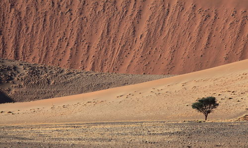 Scenic view of desert