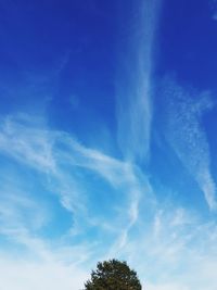 Low angle view of trees against blue sky