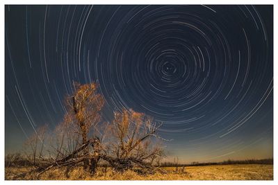 Scenic view of sky at night