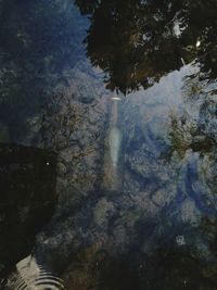 Close-up of reflection of trees in water