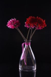 Close-up of flower over black background