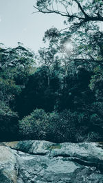 nature