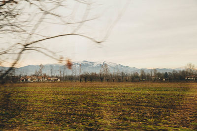 Scenic view of field against sky
