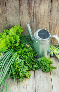 High angle view of potted plant on table