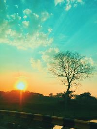 Silhouette bare tree against sky during sunset