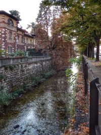 Footpath amidst trees and buildings