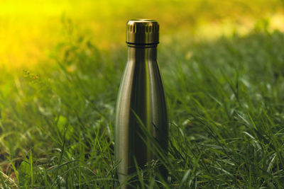 Water bottle. reusable steel thermo water bottle on green grass. sustainable lifestyle. plastic free