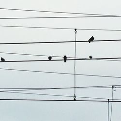 Low angle view of power lines