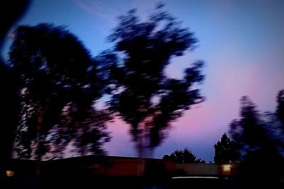 Silhouette of trees at sunset