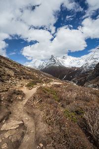 Scenic view of landscape against sky