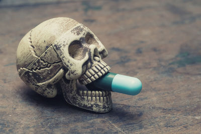 Close-up of pills in human skull outdoors