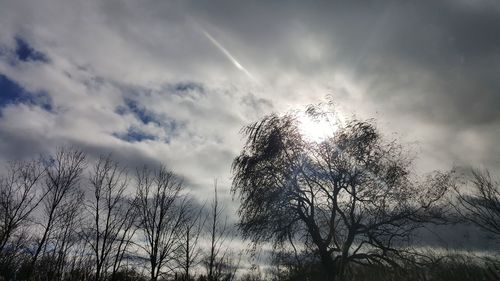 Low angle view of bare trees against sky