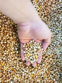 Cropped hand of woman holding beans