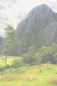 Scenic view of field and mountains against sky