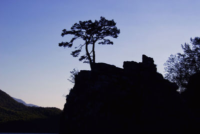 Low angle view of silhouette tree against clear sky