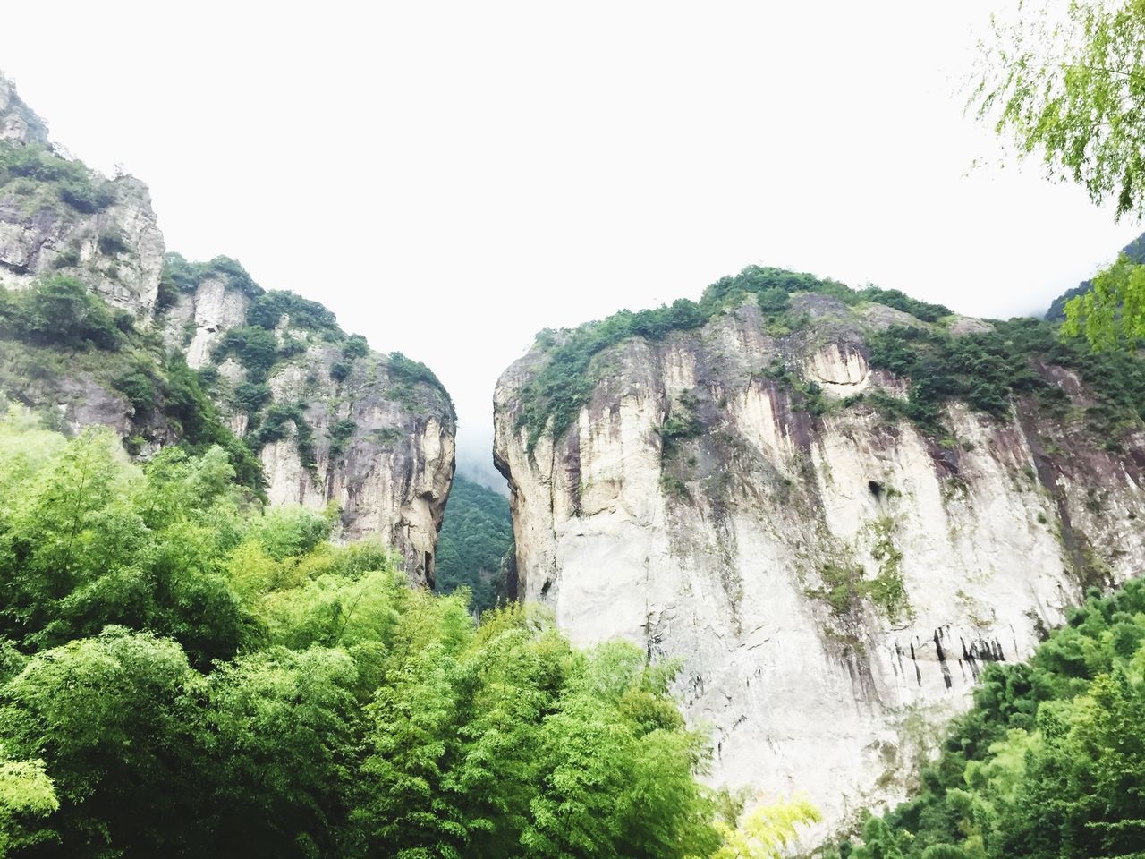 rock formation, tree, rock - object, tranquility, clear sky, tranquil scene, cliff, nature, scenics, beauty in nature, mountain, rocky mountains, geology, rock, non-urban scene, growth, physical geography, plant, eroded, landscape